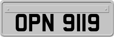 OPN9119