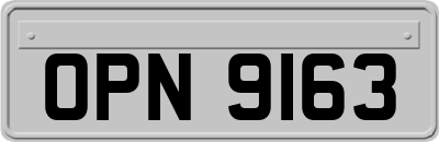 OPN9163