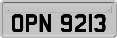 OPN9213