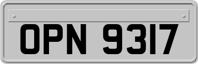 OPN9317