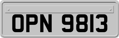 OPN9813