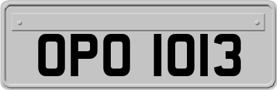 OPO1013