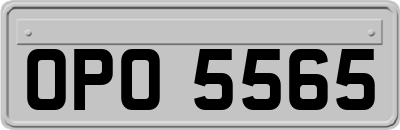 OPO5565