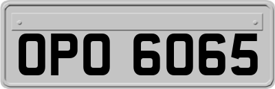 OPO6065