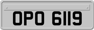 OPO6119