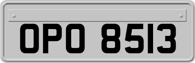OPO8513