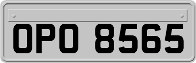 OPO8565