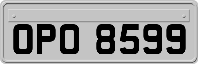 OPO8599