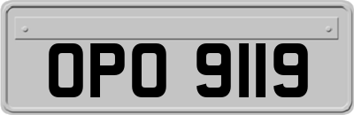 OPO9119