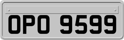 OPO9599