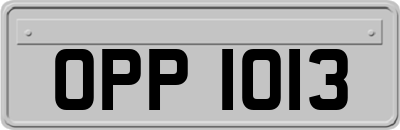 OPP1013