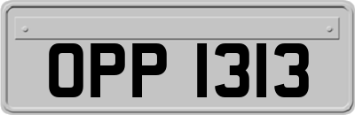OPP1313