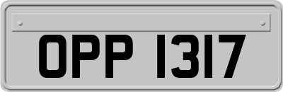 OPP1317