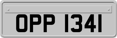 OPP1341