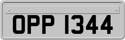 OPP1344