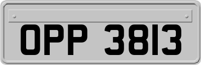OPP3813