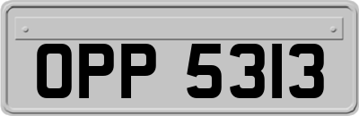 OPP5313