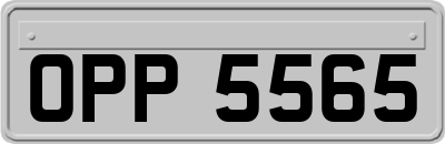 OPP5565