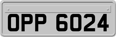 OPP6024