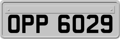 OPP6029
