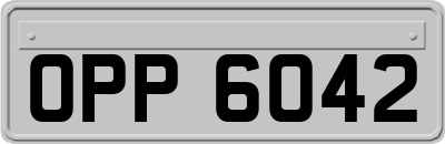 OPP6042