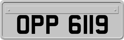 OPP6119