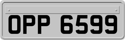 OPP6599