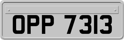 OPP7313