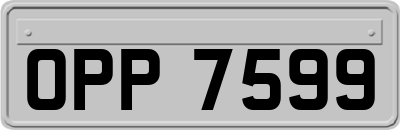 OPP7599