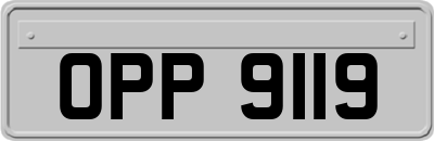 OPP9119