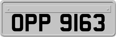 OPP9163