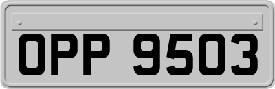 OPP9503