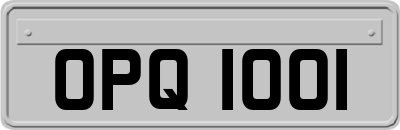 OPQ1001