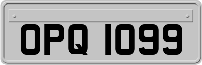 OPQ1099