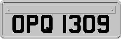 OPQ1309