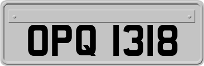 OPQ1318