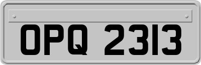 OPQ2313