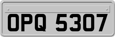 OPQ5307