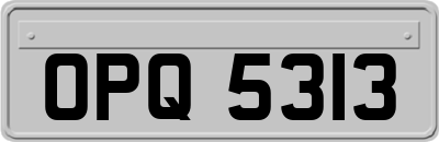 OPQ5313