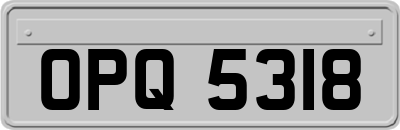 OPQ5318