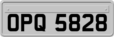 OPQ5828