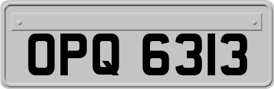 OPQ6313