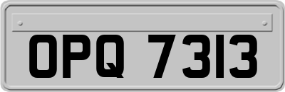 OPQ7313