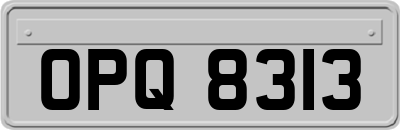 OPQ8313