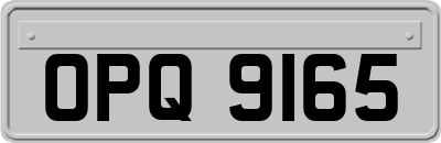 OPQ9165