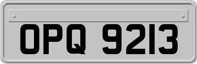 OPQ9213