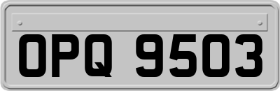 OPQ9503