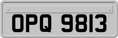 OPQ9813