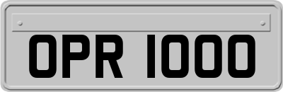 OPR1000