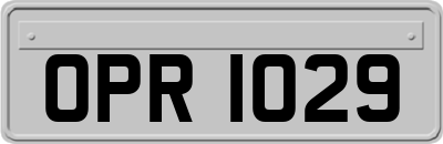 OPR1029